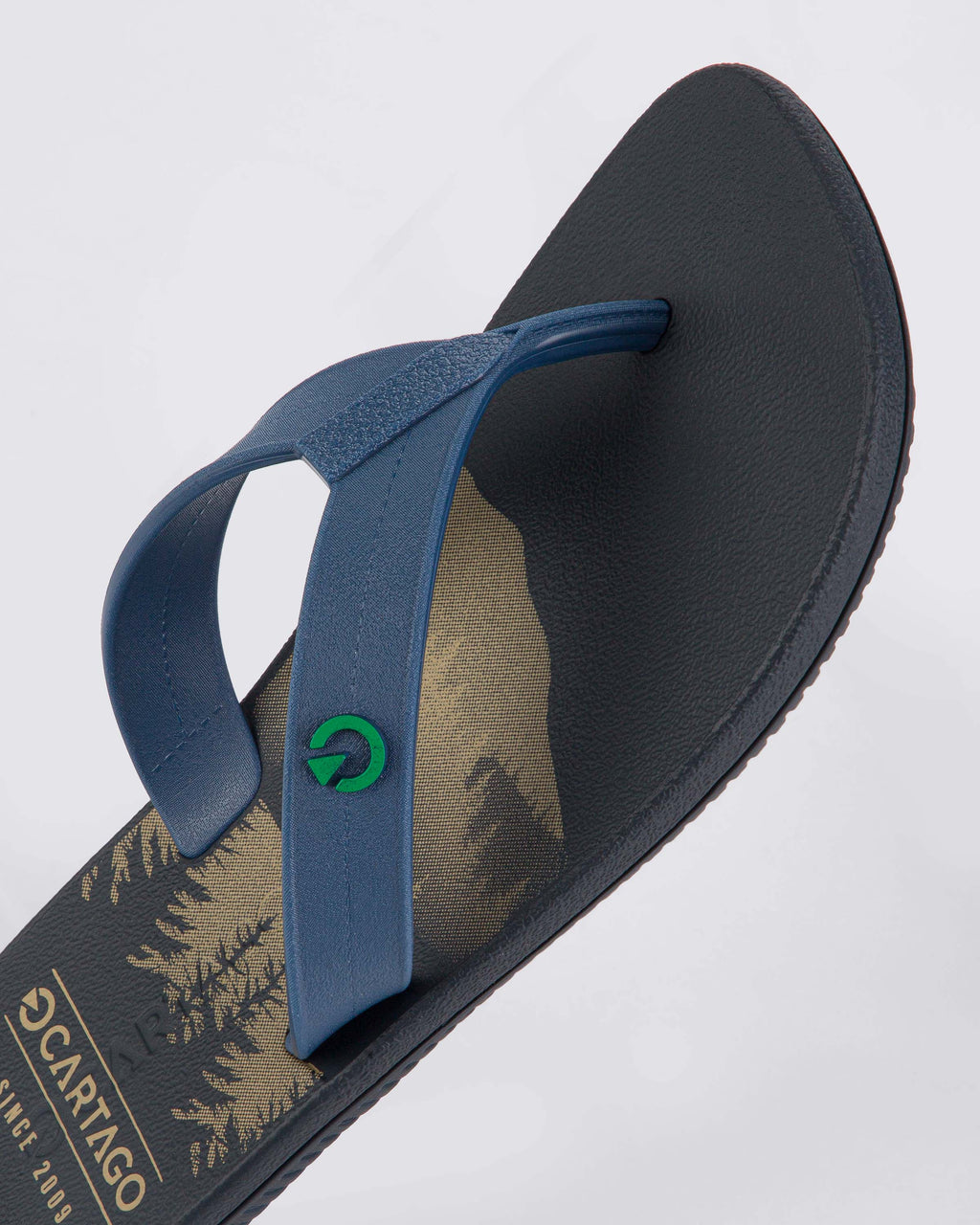 Sandalia Infantil Azul Atlanta Cartago